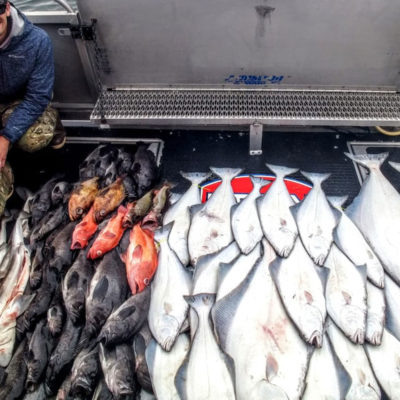 a couple with a halibut and rockfish catch