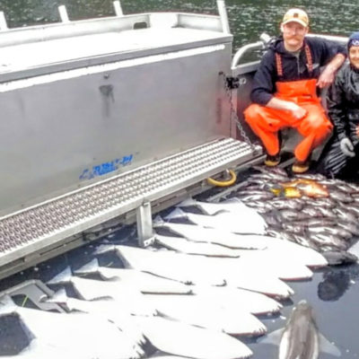 big halibut catch